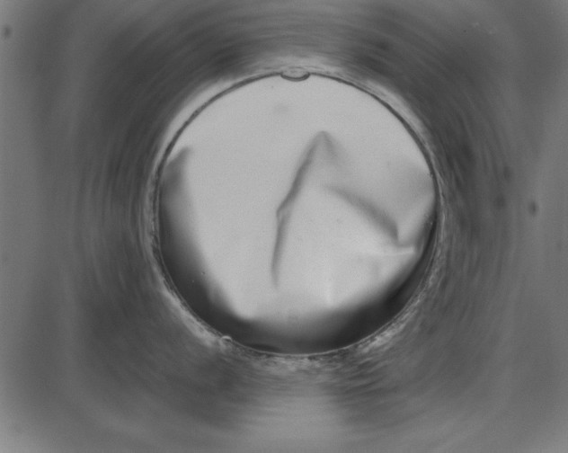 X0000086111056200704091413