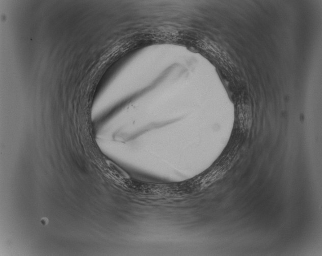 X0000086111057200704091412