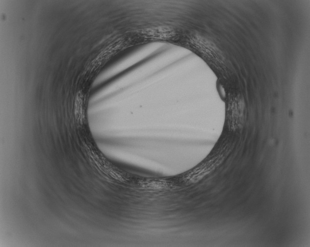 X0000086111058200704091412