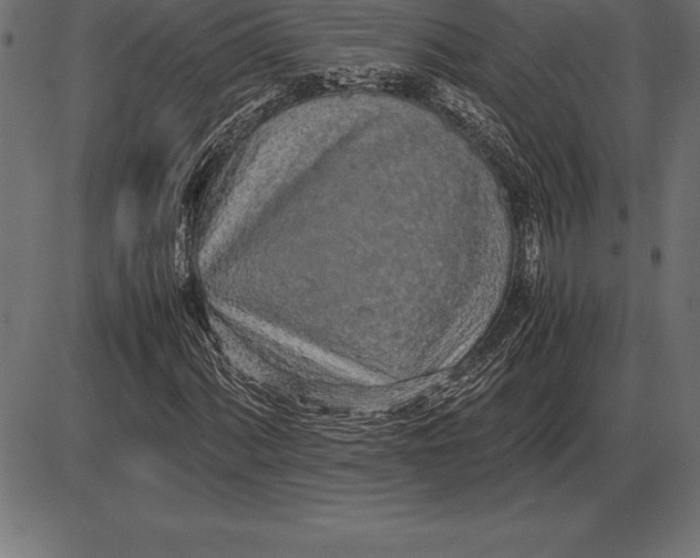 X0000086111060200704091412