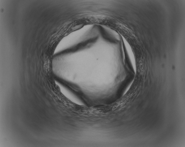 X0000086111061200704091412