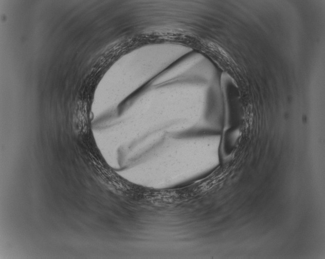 X0000086111062200704091412