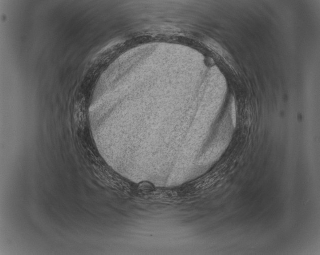 X0000086111063200704091412