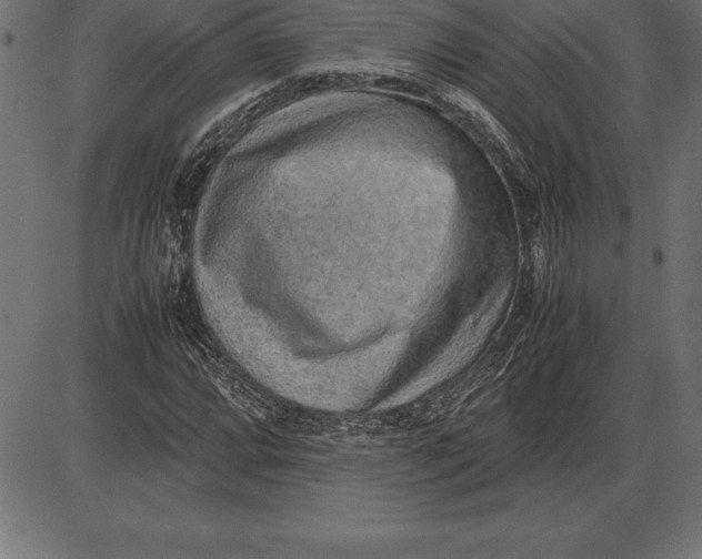 X0000086111064200704091412