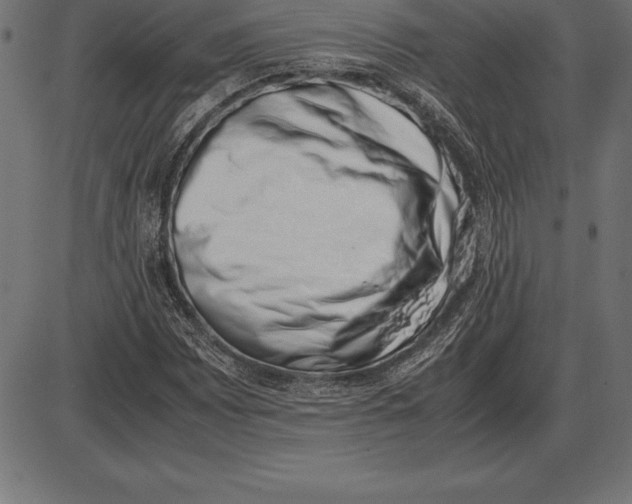 X0000086111065200704091412