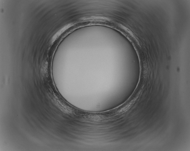 X0000086111066200704091412