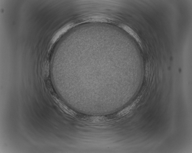 X0000086111067200704091412