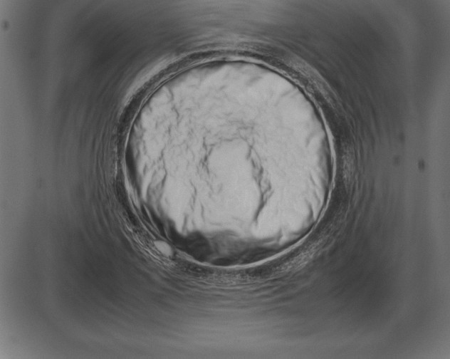 X0000086111069200704091412