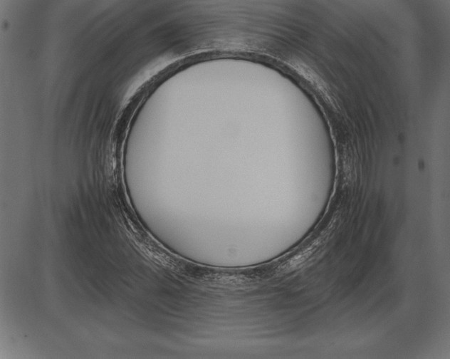 X0000086111070200704091412