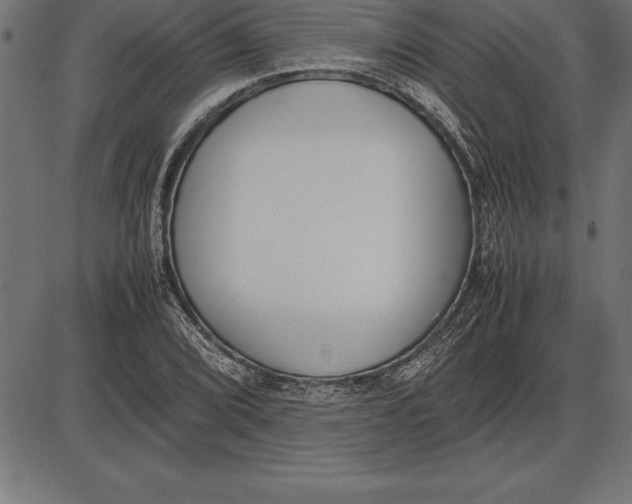 X0000086111072200704091412