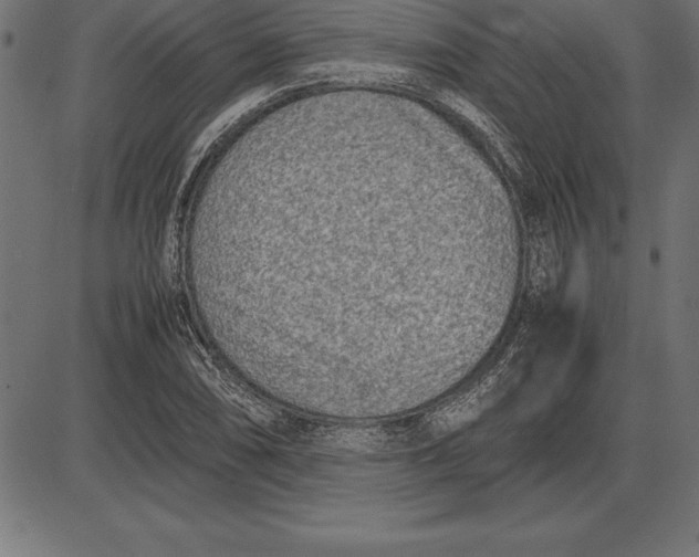 X0000086111074200704091412