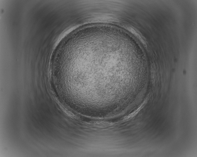 X0000086111077200704091412