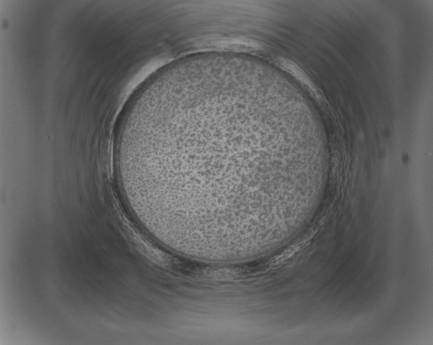 X0000086111079200704091412