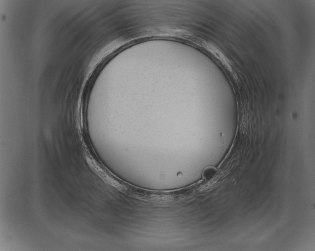 X0000086111080200704091412