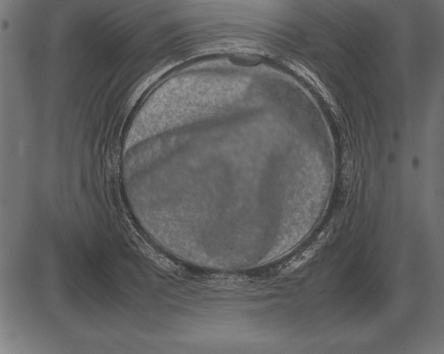 X0000086111081200704091412