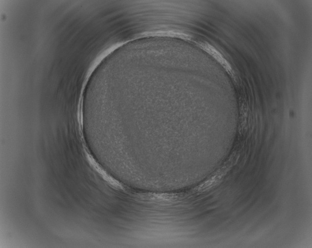 X0000086111084200704091412