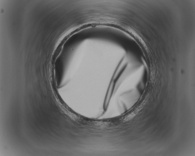 X0000086111085200704091412