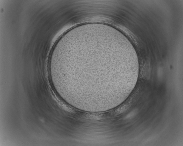 X0000086111086200704091412