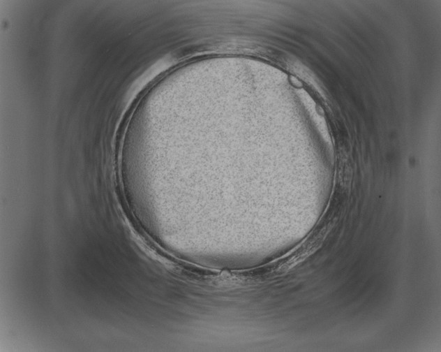 X0000086111087200704091412