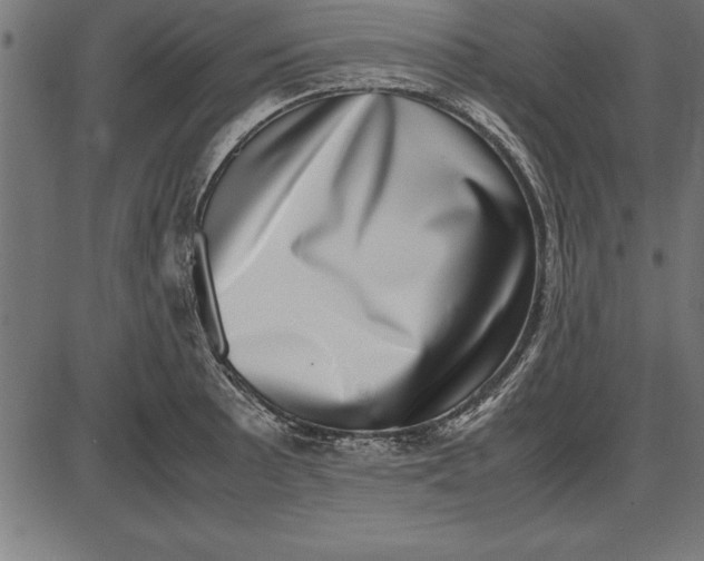 X0000086111089200704091412