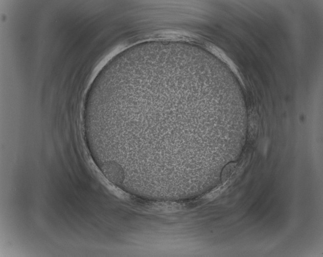 X0000086111091200704091412