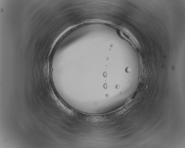 X0000086111092200704091412