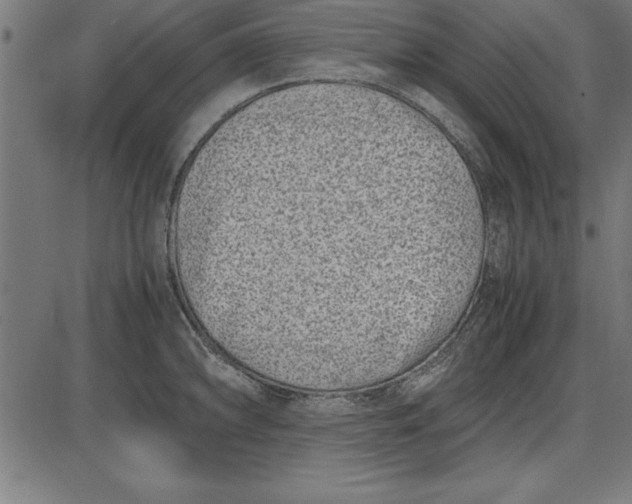 X0000086111094200704091412