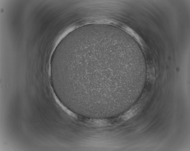 X0000086111095200704091412