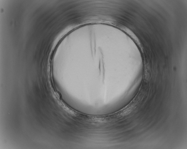 X0000086111096200704091412