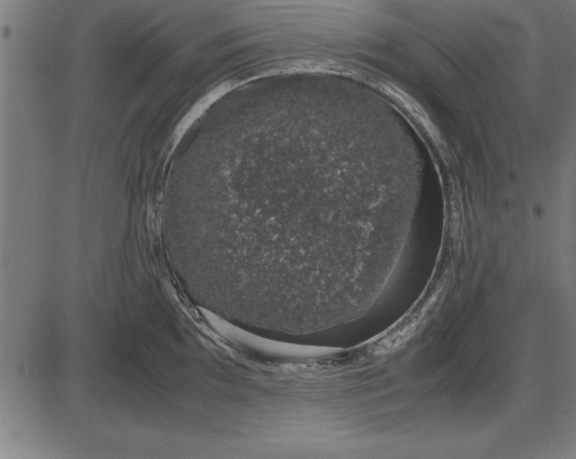 X0000086111097200704091412