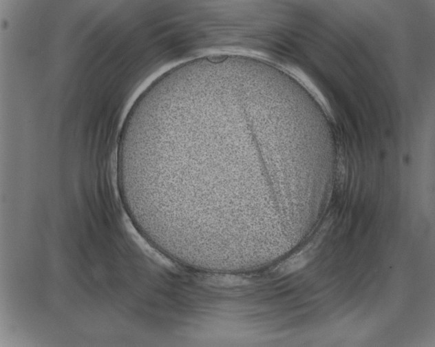 X0000086111100200704091412