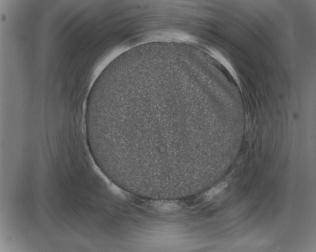 X0000086111103200704091412