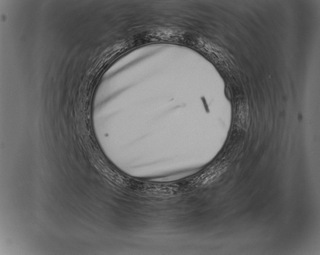 X0000086111105200704091411