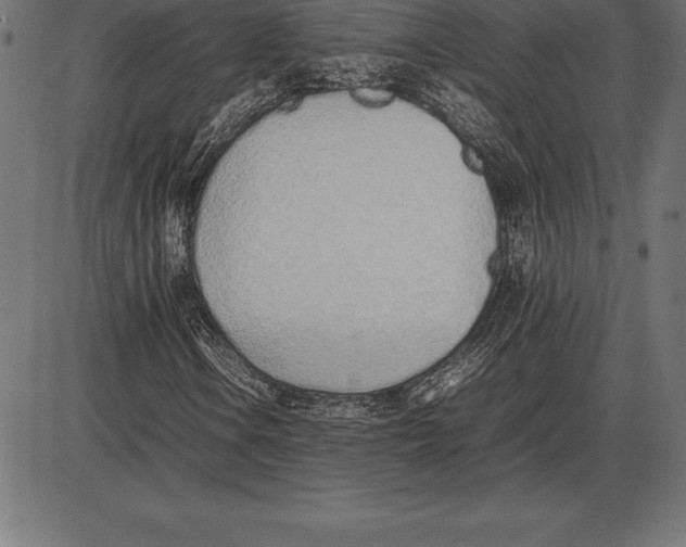 X0000086111106200704091411