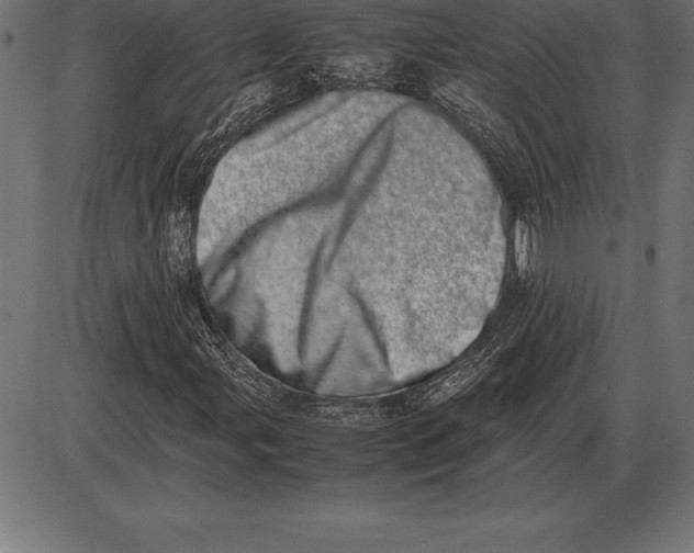 X0000086111107200704091411