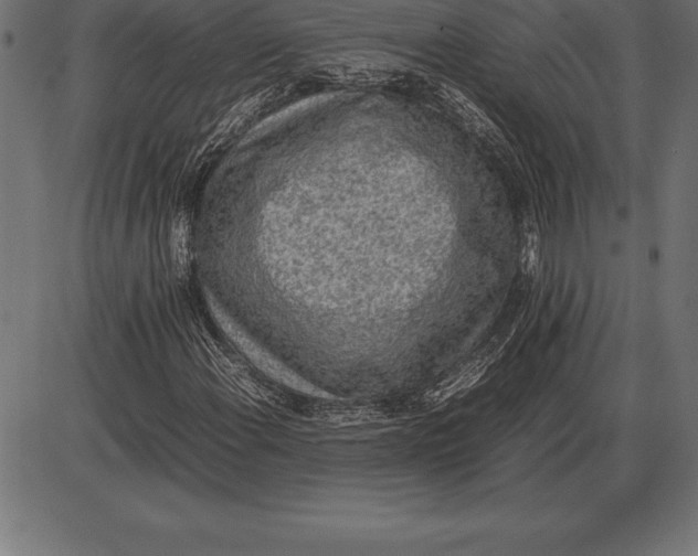 X0000086111108200704091411