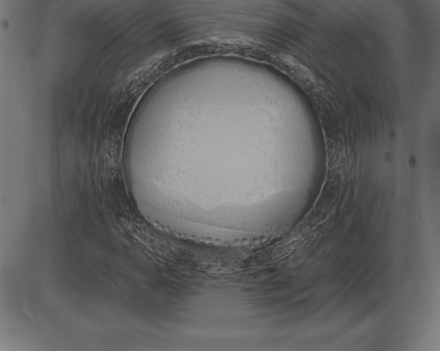 X0000086111110200704091411