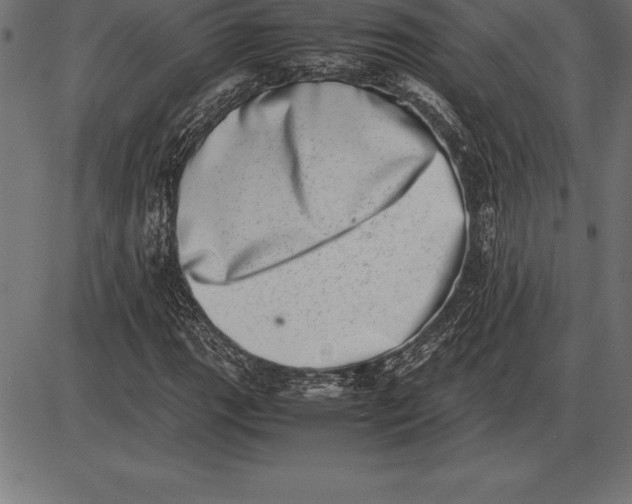 X0000086111111200704091411