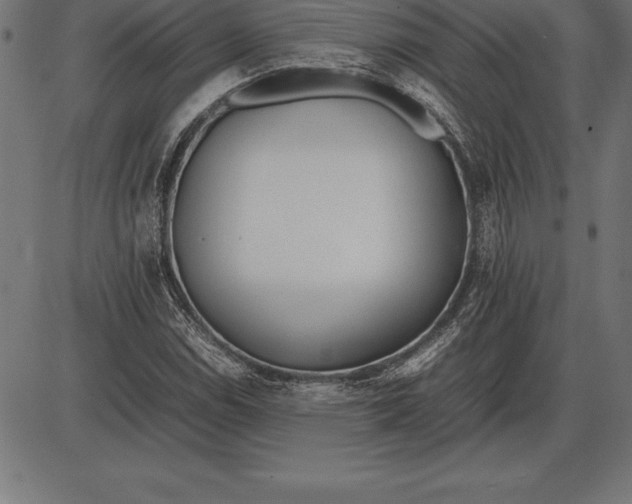 X0000086111114200704091411