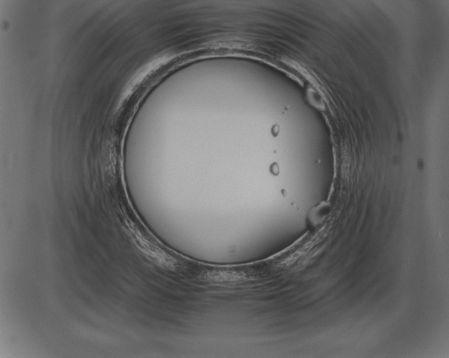 X0000086111115200704091411