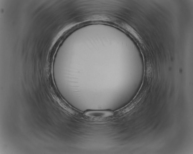 X0000086111116200704091411