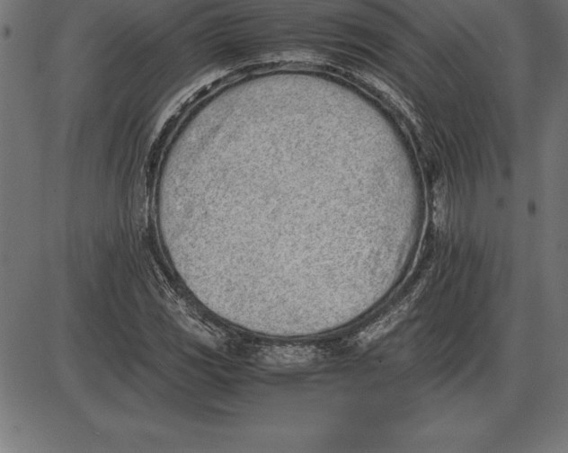 X0000086111117200704091411