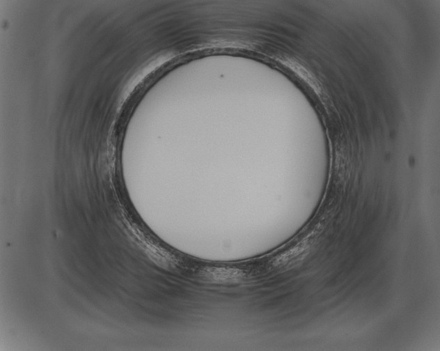 X0000086111119200704091411