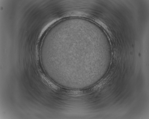 X0000086111120200704091411