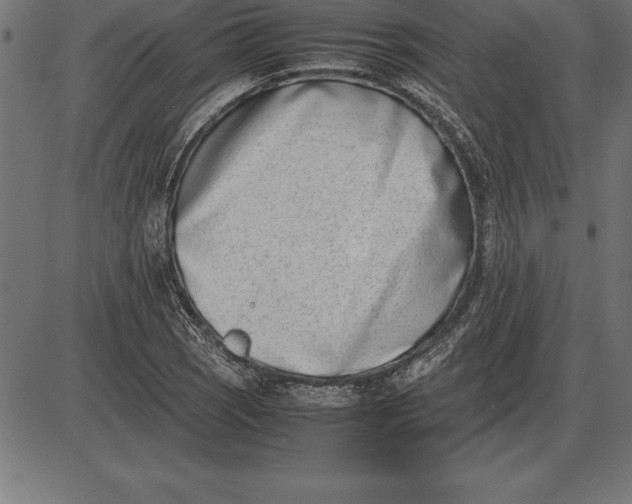 X0000086111121200704091411