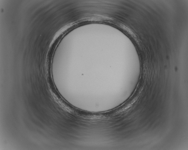 X0000086111122200704091411