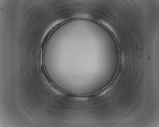 X0000086111123200704091411