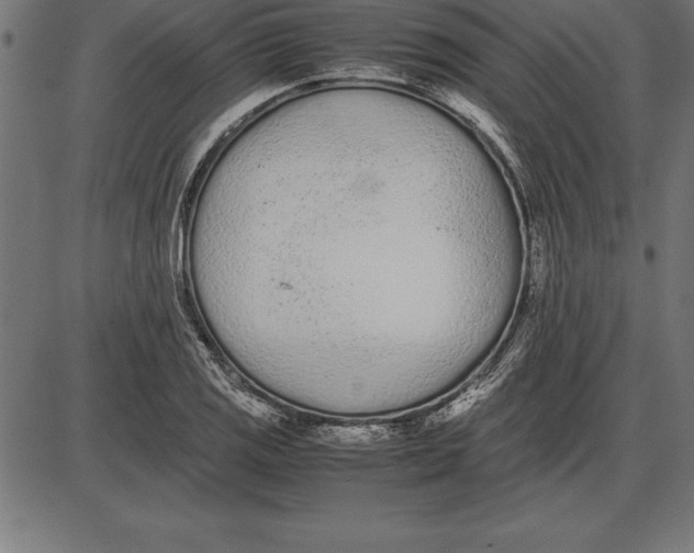 X0000086111125200704091411