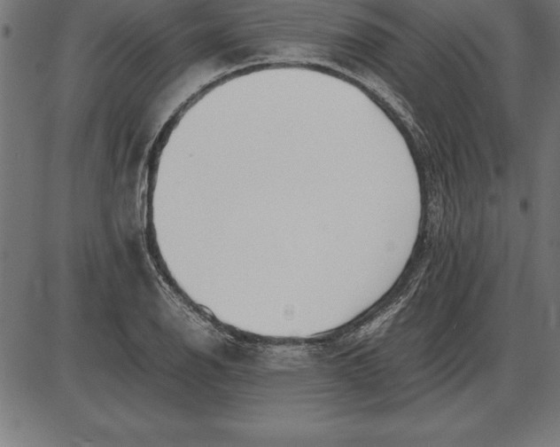 X0000086111126200704091411