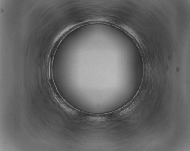 X0000086111127200704091411